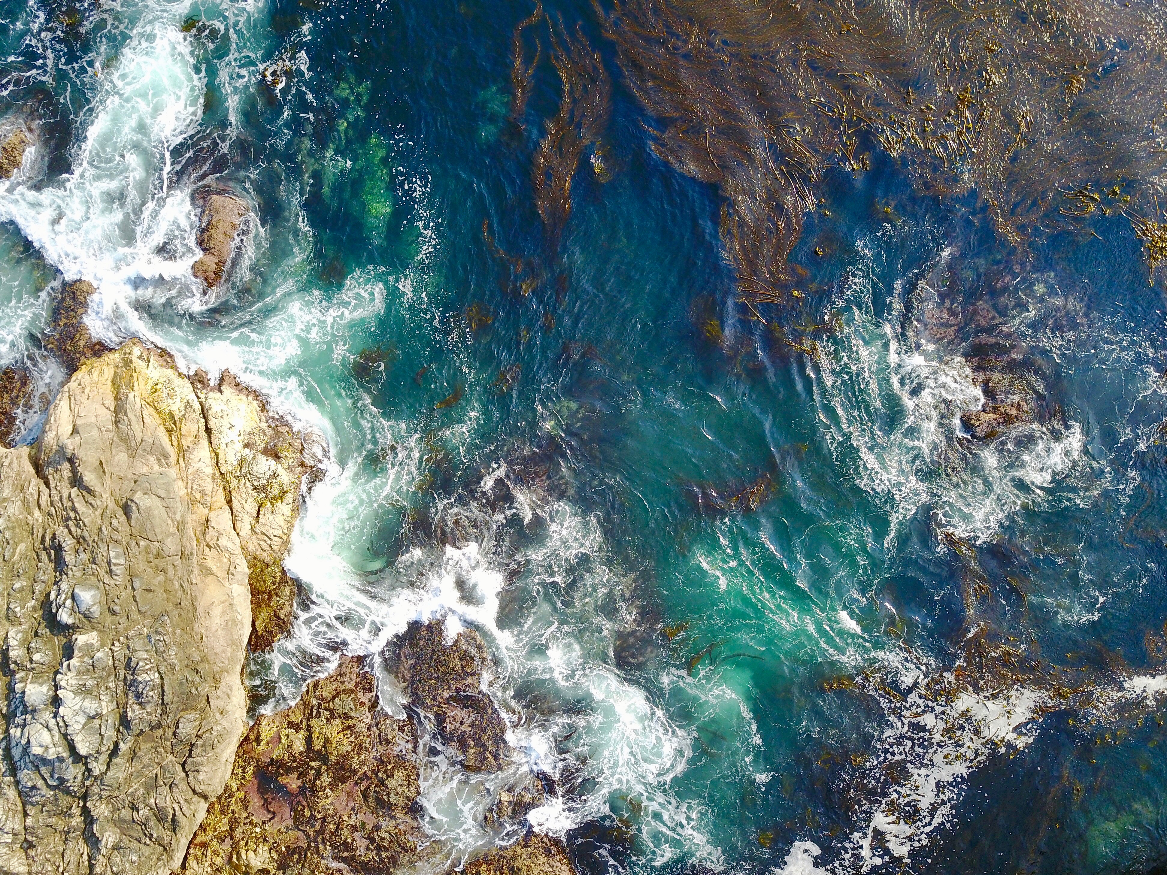 California Pacific Coastline by Drone
