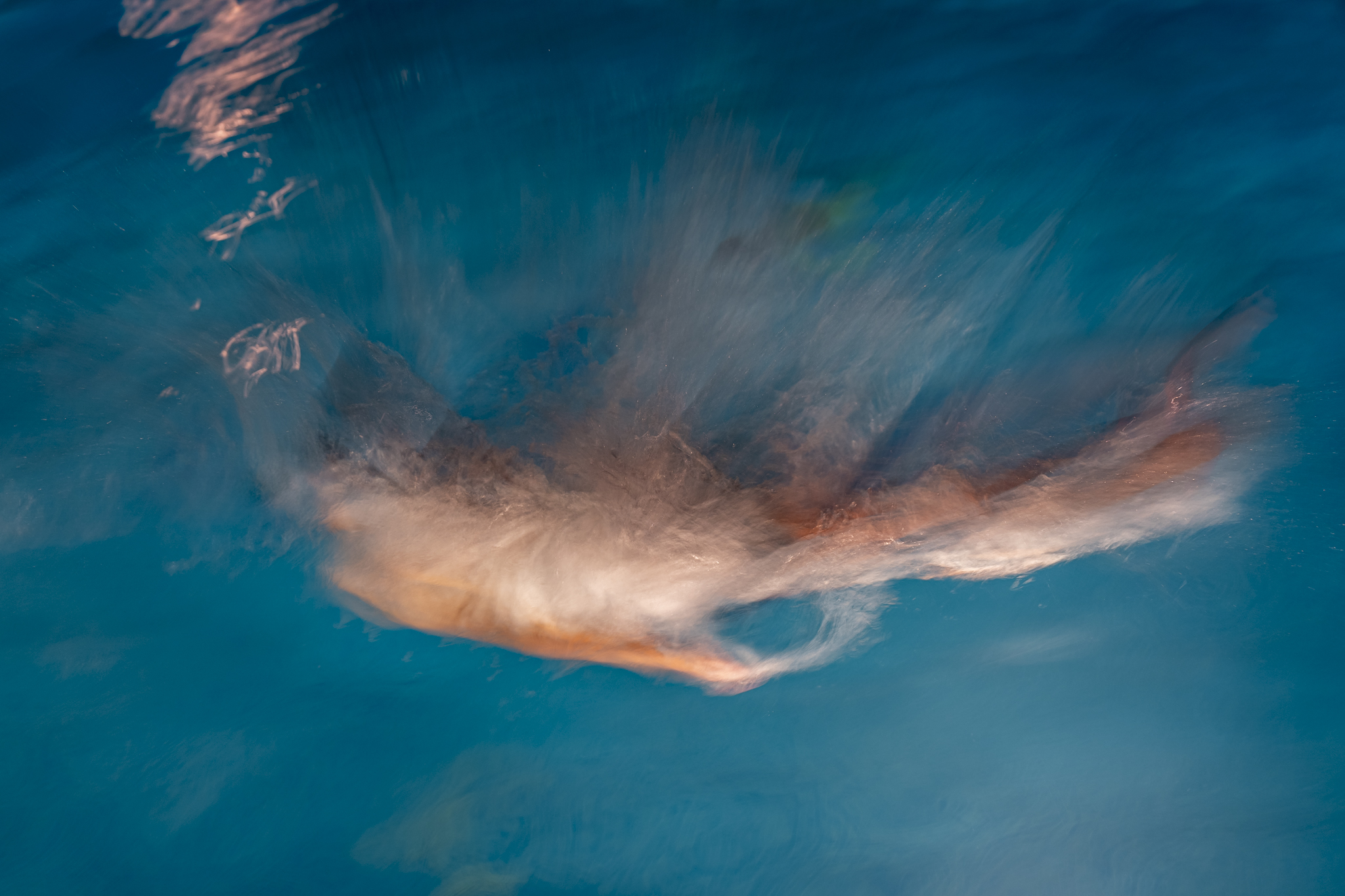 © Paul Tocatlian. All Rights Reserved.