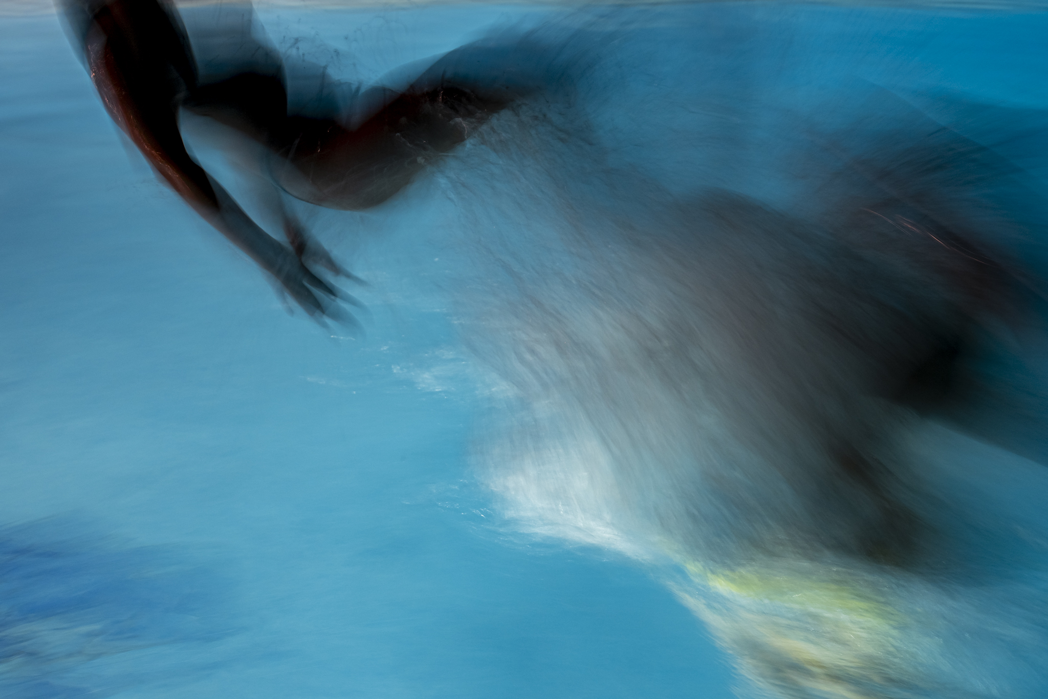 © Paul Tocatlian. All Rights Reserved.