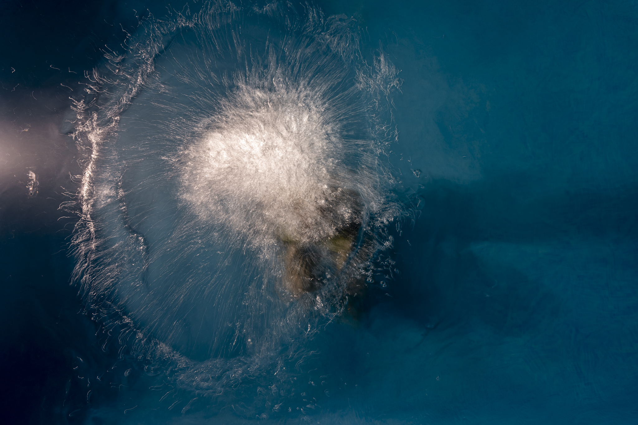 © Paul Tocatlian. All Rights Reserved.