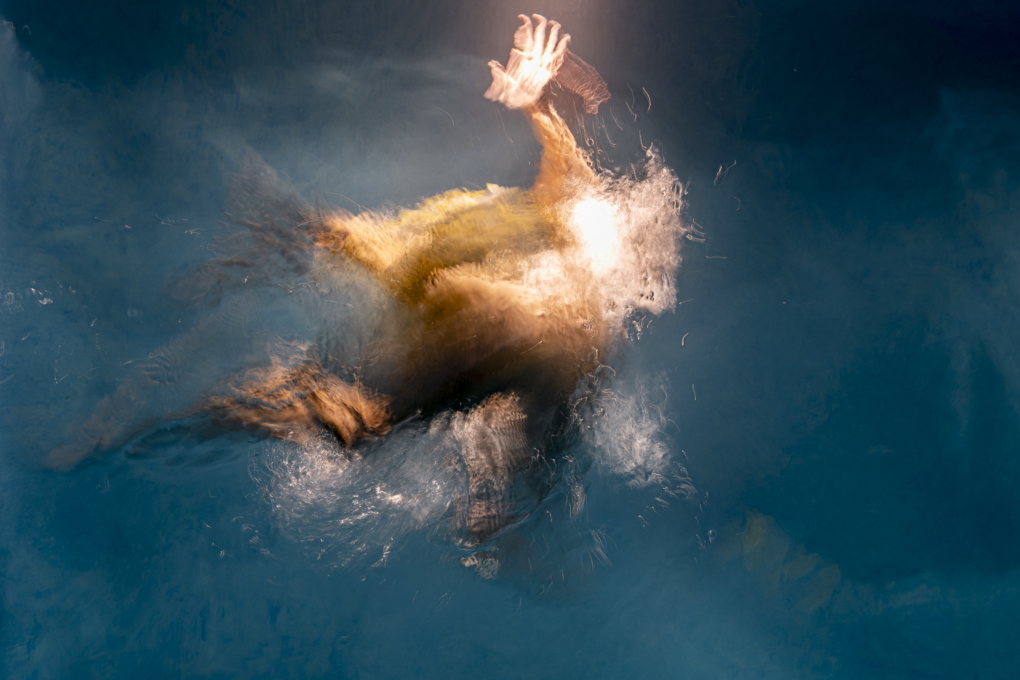 © Paul Tocatlian. All Rights Reserved.